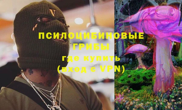 спиды Мегион