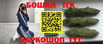 гидра Волжск