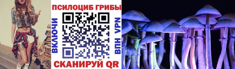 Галлюциногенные грибы MAGIC MUSHROOMS  где купить наркотик  Железноводск 