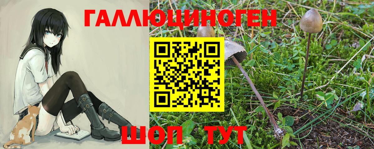 Галлюциногенные грибы мицелий  Вход с VPN  Железноводск  Псилоцибиновые грибы ЛСД 