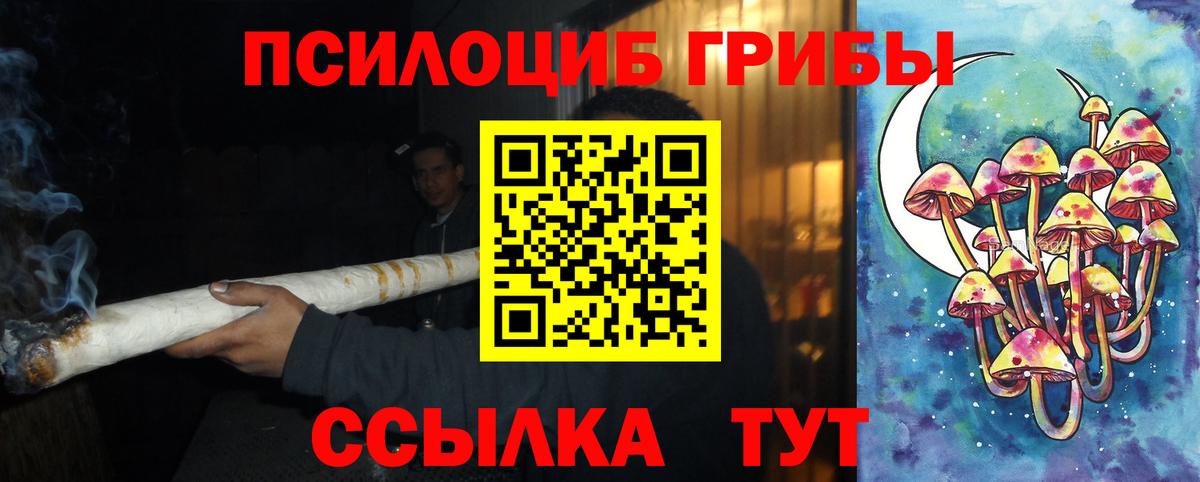 Псилоцибиновые грибы мицелий  Железноводск 