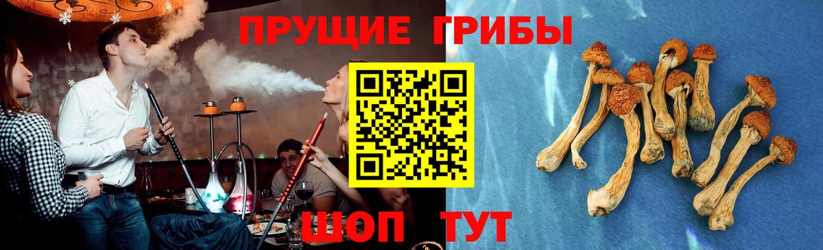 Псилоцибиновые грибы ЛСД Железноводск